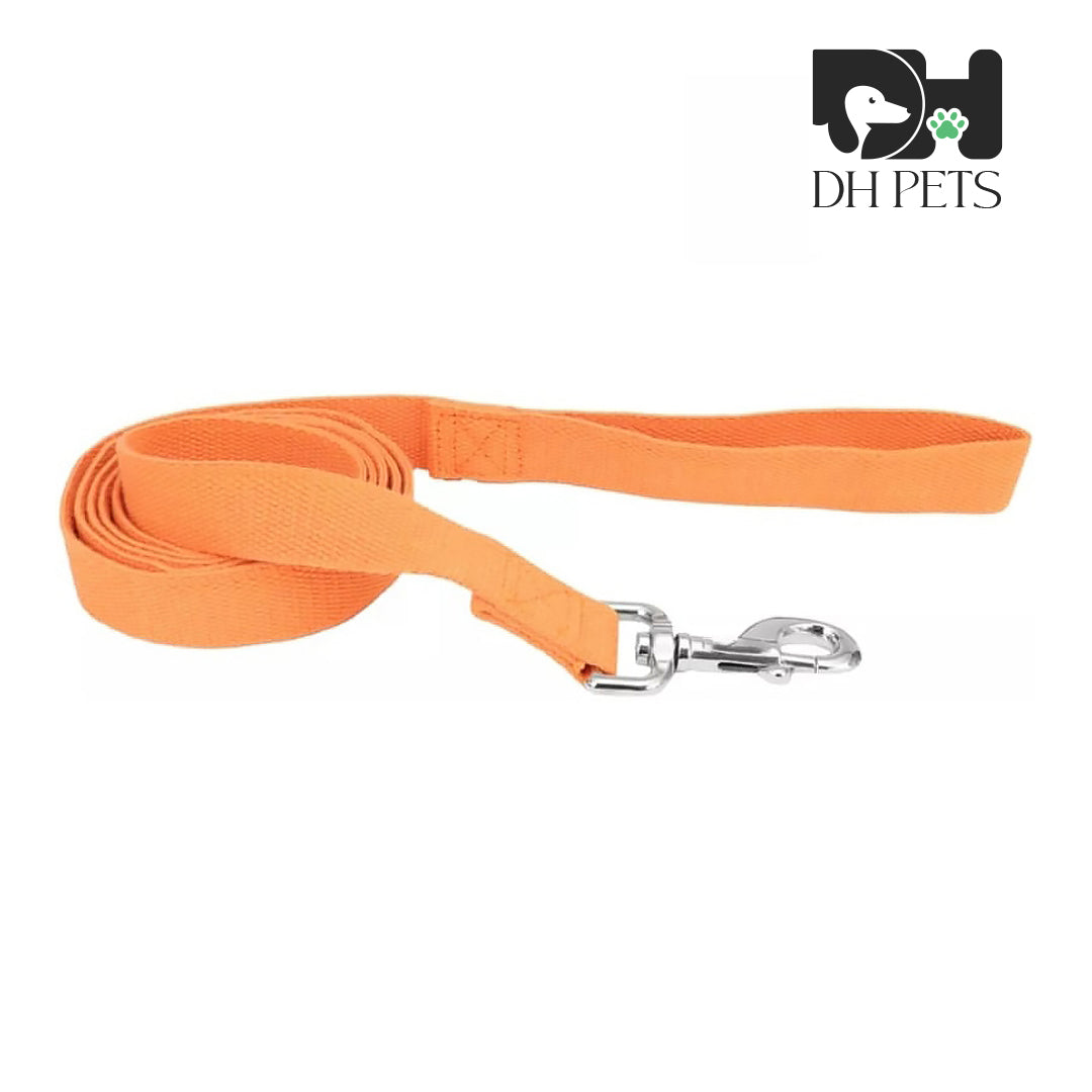 DH Pets - Dog Lead Pumpkin Orange - 6 feet x 5/8"W