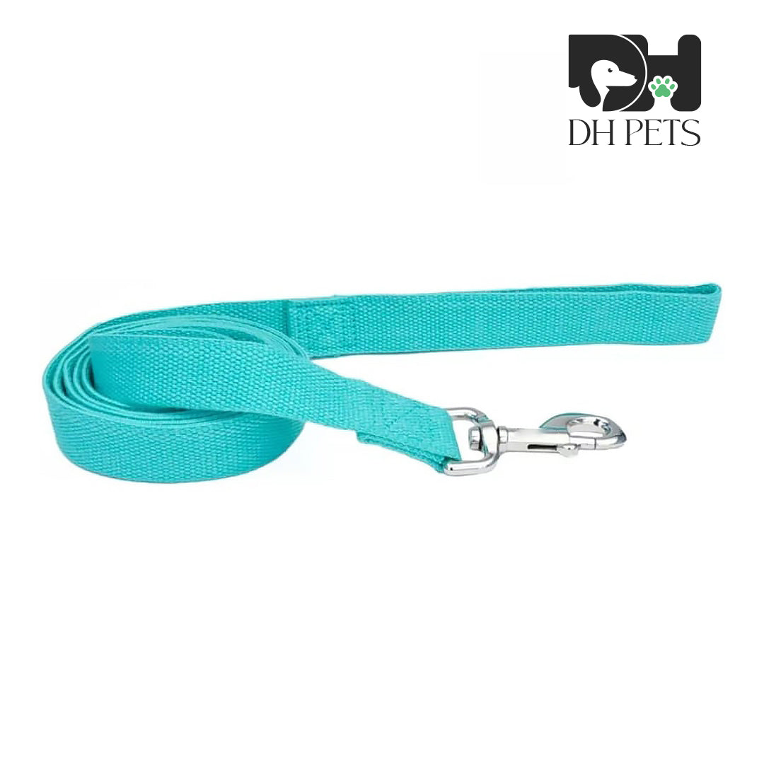 DH Pets - Dog Lead Mint Green - 6 feet x 5/8"W